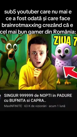 #romania #iraphahell #fyp #xyzabc #romania🇷🇴 
