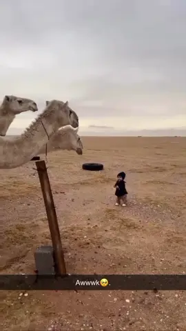🥺🤍.#مشاءالله_تبارك_الله #fyp #اكسبلورexplore 