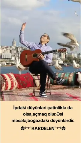 #keshvet#yazar#beyenek#keşfet#kardelen