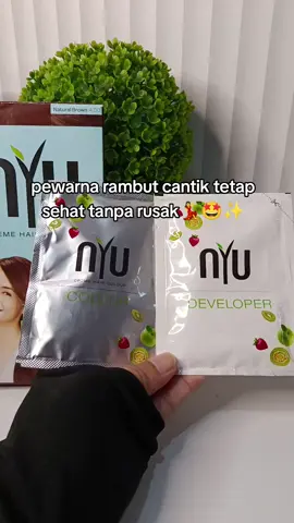#nyuhaircolor #catrambutnyu #pewarnarambutaman 