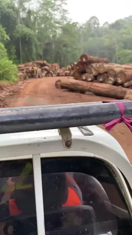 PT. UDIT#kayubalak #ptudit #fyp 