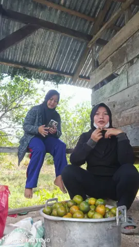#ngangkak😂gokil😂  @kholifahadit943 