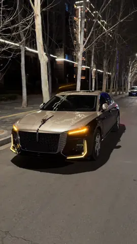 The chinese Rr ❤️  #hongqi #メロ秋投稿キャンペーン #china #fyp #viral