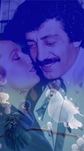 👑👑👑🌹🌹🌹