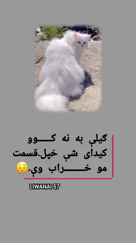 #ملتیا_مې_وکړه📚 #ستړی__ژوندبیوفا__دنیا💔🥺💔 