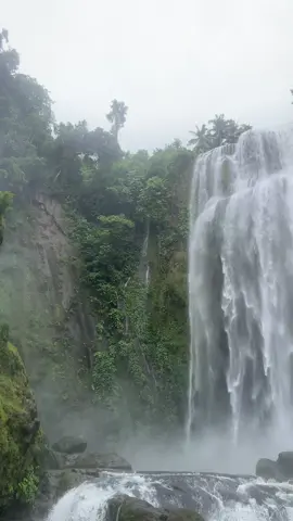 beauty of nature🍃