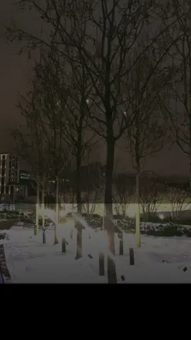 يتورد المكان والقلب..إذا كان الجليس شخص توده❣️❣️🦌 #fypシ゚ #اكسبلور #dubai #russia #CapCut 