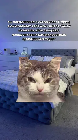 #Meme #MemeCut 