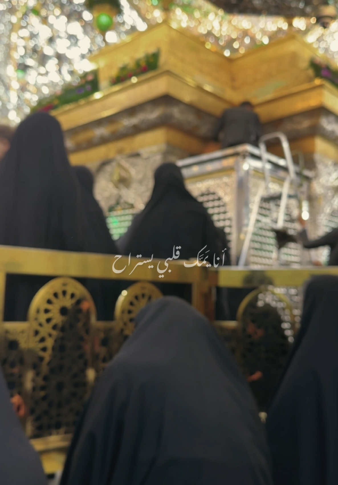 حُبًا بِـ الزهراء …  #عاشق_عاشوراء #ارديك_تشتريني #احمد_العلوي #كربلاء #العتبة_الحسينية_المقدسة 