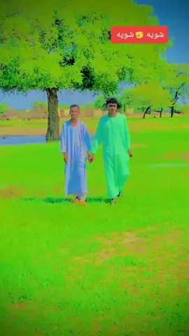 #جوخو_الشغل_دا_عالم #مليون_مشاهدة❤ #جوخو_الشغل_دا_عالم #مليون_مشاهدة❤ 