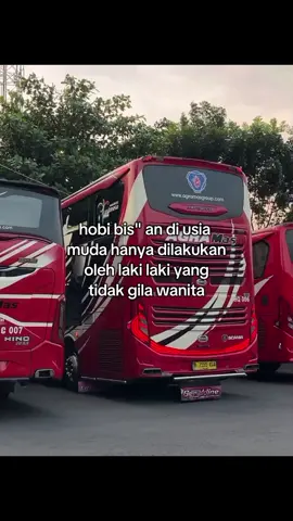 #videobus #busmania #fyp  ftg:@spokspok_ 