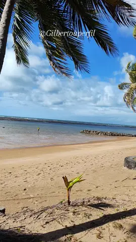 #robertocarlos #gatoazul #ilhadeitaparica 