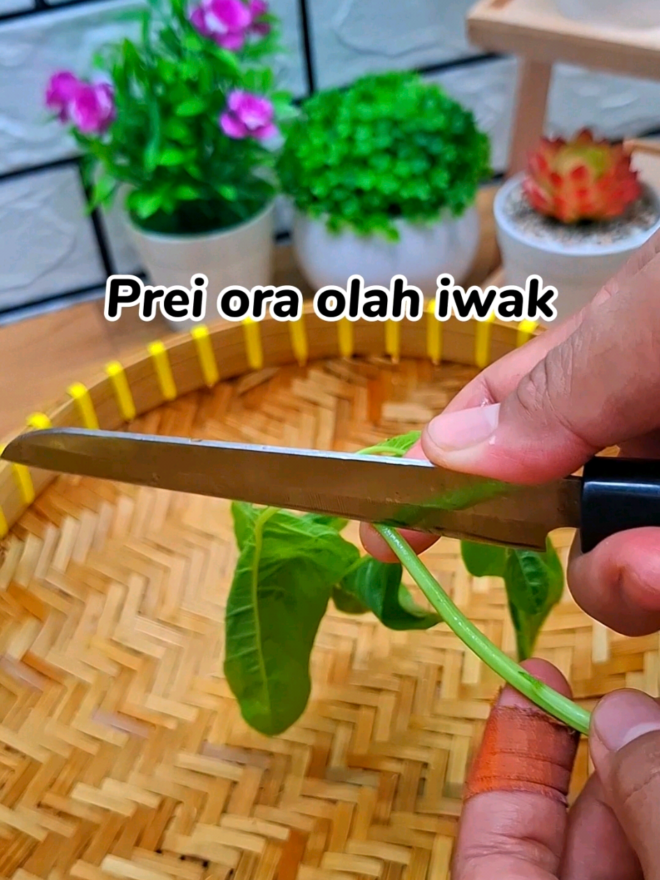 Iwak iwakane prei disik genti olah bayem wae #resepmasakan #masakanrumahan 