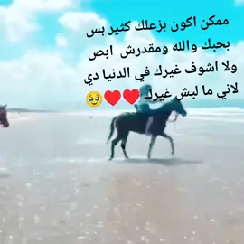 ممكن اكون بزعلك كثير بس بحبك والله #المشاهدات #الفنان #مصر_العراق_السعودية_تونس_المغرب_الجزائر #لبنان_مصر_الخليج_سوريا 