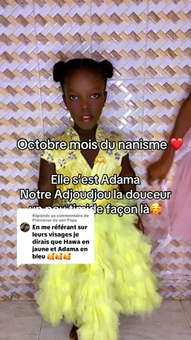 Réponse à @Princesse de son Papa #joiedevivre❤️💖❤️ #lesjumelles #pourtoi #senegalaise_tik_tok 
