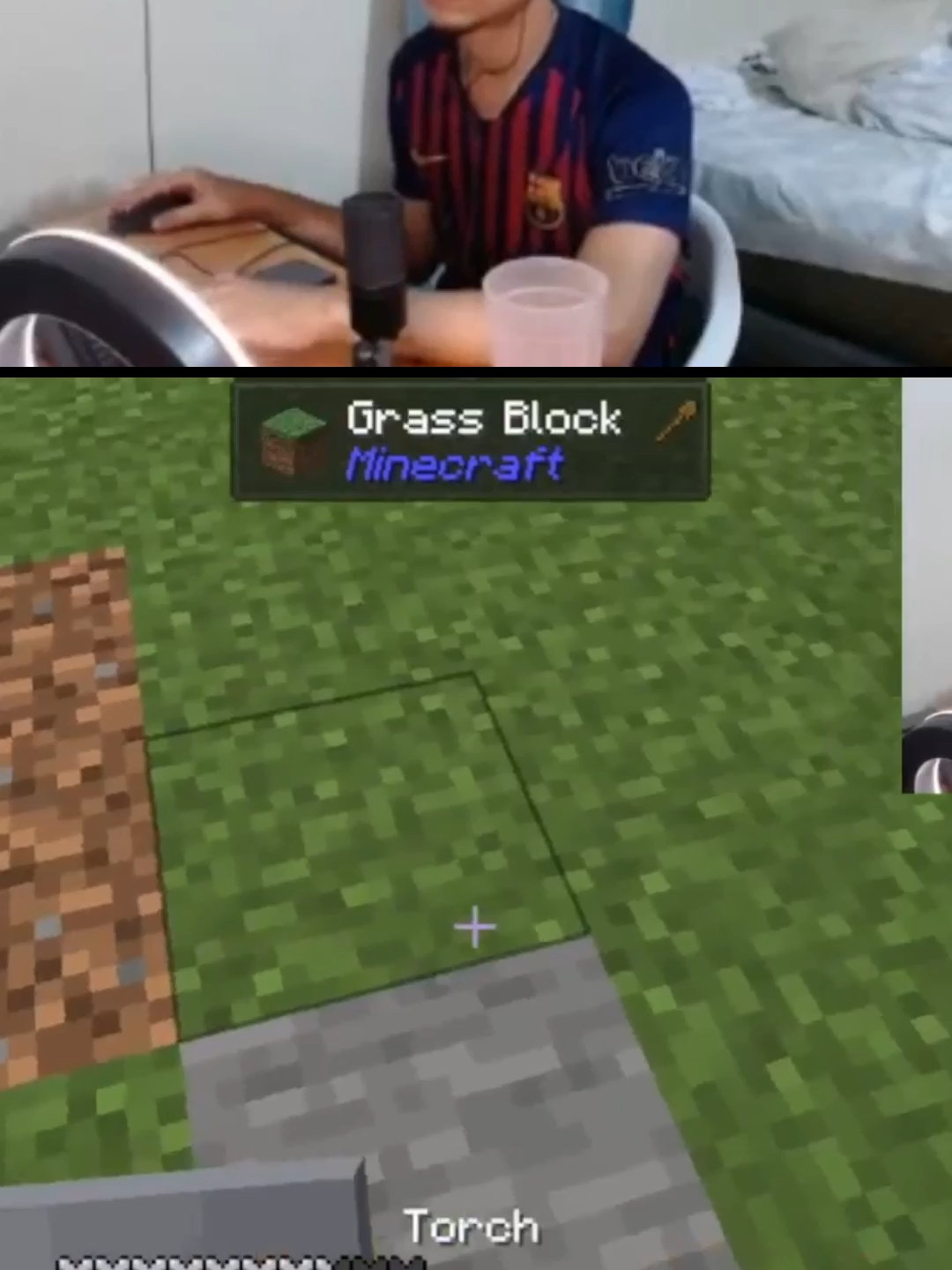 Mentality desde Minecraft
