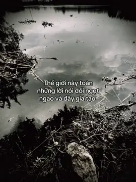 P58: Thế giới này toàn những lời nói dối ngọt ngào và đầy giả tạo #flop #fyp #xuhuongtiktok 