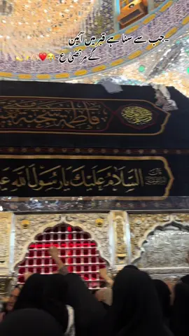 Mola!😭♥️🫶🏻 #foryou #fyp #foryoupage #Shianeali #yaaliع 