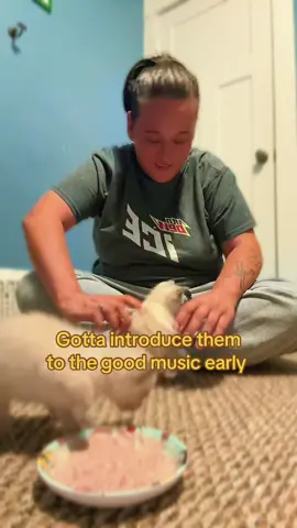 Im so tired lol #rks #rainbowkittensurprise #kittensoftiktok #kitten #kittentok 