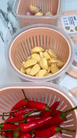 Bảo quản vào hành tỏi vào đây vừa tươi lâu lại tránh mối mọt#hopdunghanhtoi #hopdunghanhtoiot #hopdunghanhtoidetulanh 