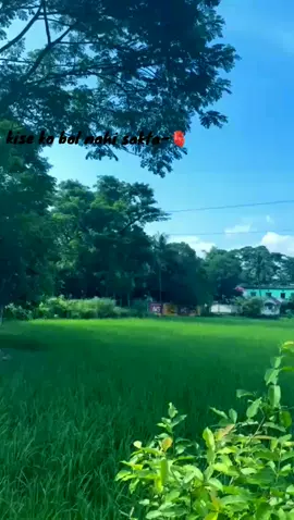 #creatorsearchinsights #mera_delbi_na_sakta#plz#support_#viral_plz🙏🙏🙏🙏🙏🙏🙏🙏🙏🙏🙏🙏🙏 🙏🙏🙏🙏🙏🙏🙏🙏🙏🙏 @For You @For You House ⍟ @TikTok 