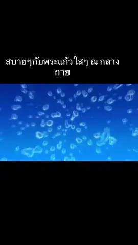 สบาย ณ กลางกาย