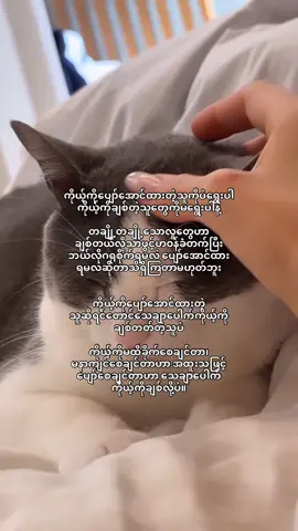 ချစ်တယ်မချစ်ဘူးကပါးစပ်ကပြောတာထက် ပြုမူတဲ့လုပ်ရပ်တွေနဲ့ပိုဆိုင်တယ်… #fouryou #foryourpage #viraltiktok #fypシ゚ #crdtext 