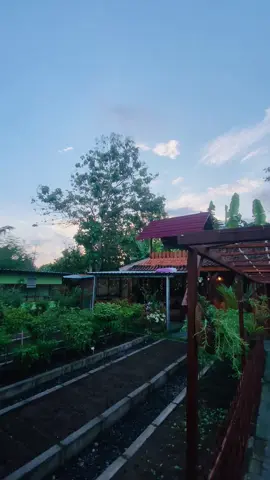 Menjelang Magrib Terimakasih Ya Robb atas Semua Nikmat-Nya….#rumahketahananpangan #fyppppppppppppppppppppppp #banyuwangi #indonesia #international 
