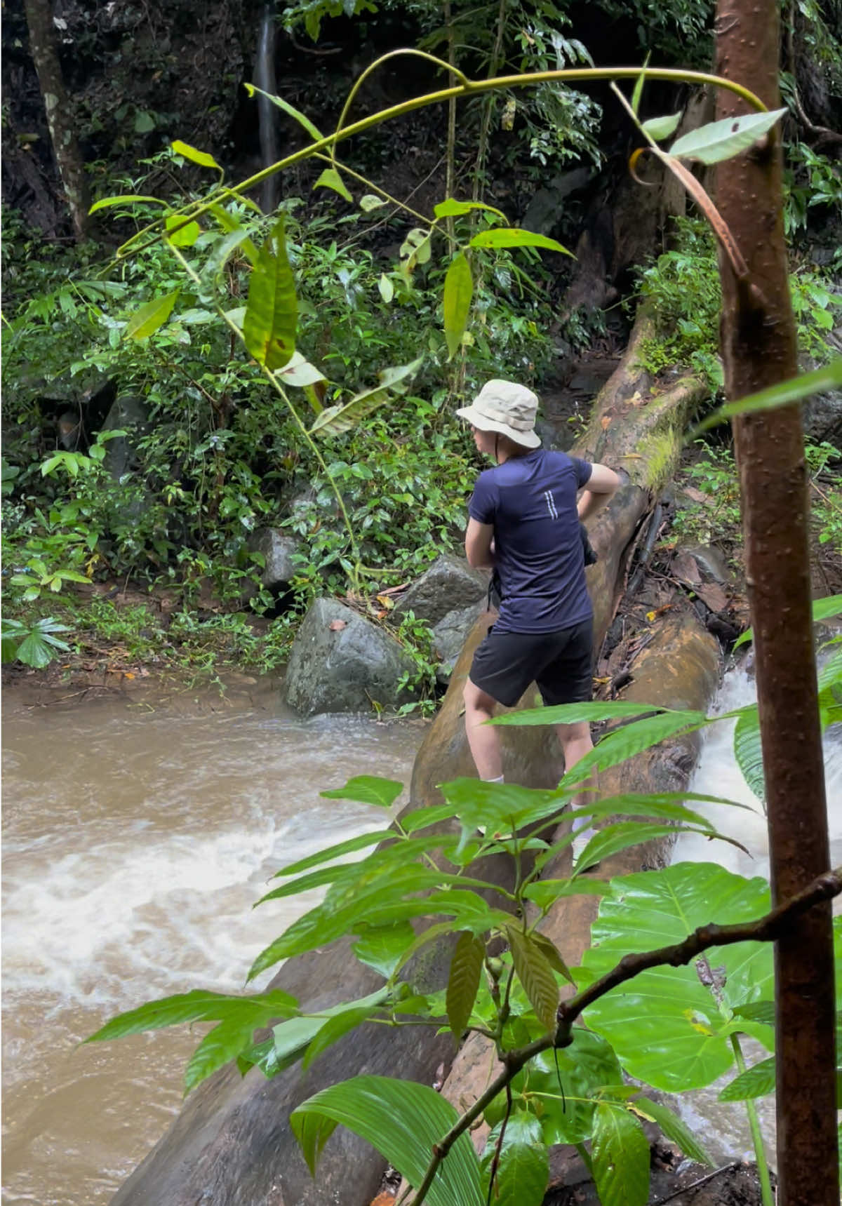 เส้นทางเดินตามธรรมชาติข้ามลำธาร 19 ครั้ง 🌳✨ #เพชรบูรณ์ #น้ำตกตาดหมก #เดินป่า #fyp 