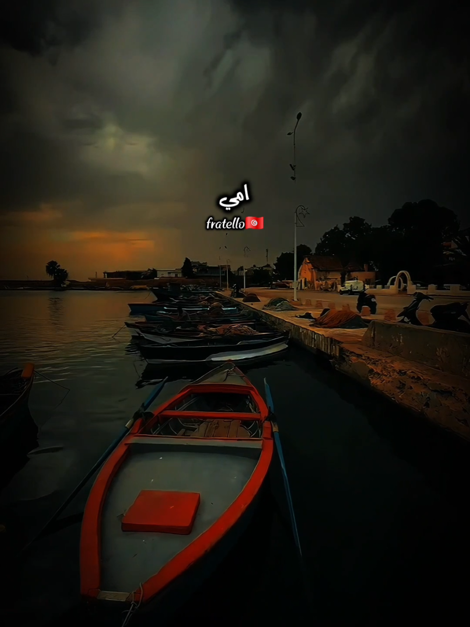 . رحمك الله يا أمي #أمي #fyp #fratello🇹🇳🇹🇳 #viral 