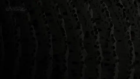 تبارك الرحمن 🤍 #ياسر_الدوسري #الحرم_المكي #مكة #قران 