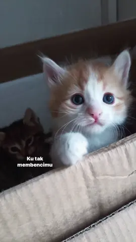 #pesanterakhir #4u 