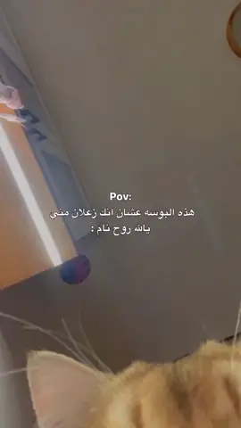 هذاك الصخل، صخل بس اموت عليه 🗿#طششونيي🔫🥺😹💞 #الشعب_الصيني_ماله_حل😂😂 #طشونيييييييييي🔫😂🥺🐸💞 #طششونيي🔫🥺😹💞التخمط🌝💆🏻‍♀️🔫 #الشعب_الصيني_ماله_حل😂😂 