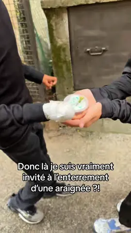 Voilà pour ceux qui avaient loupé, l’enterrement de Mygalos 