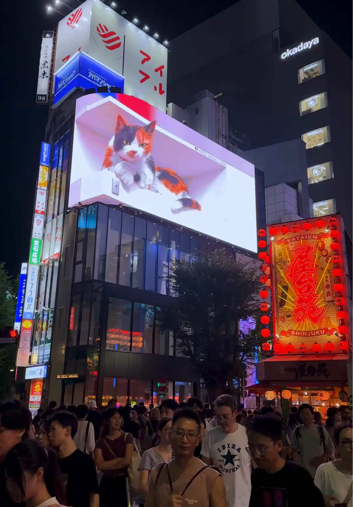 Waguri Kaoruko Voice X Pasilyo X Japan Vibes😍 BTW Thank’s for 70K Followers🫶 #japan #japanvibes #wagurikaoruko #pasilyo #dreamcountry 