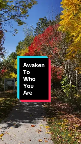 To awaken to who you are is a process of heightened consciousness and self-awareness, shifting from an 