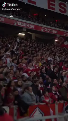 Ultra lillois #fyp #viral #pourtoi #psg #losc 