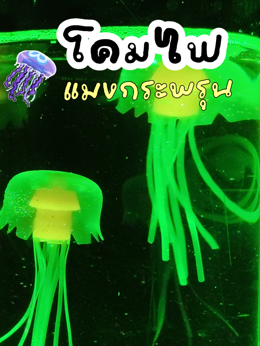 โคมไฟแมงกะพรุน  #โคมไฟแต่งห้อง #ของแต่งห้อง 