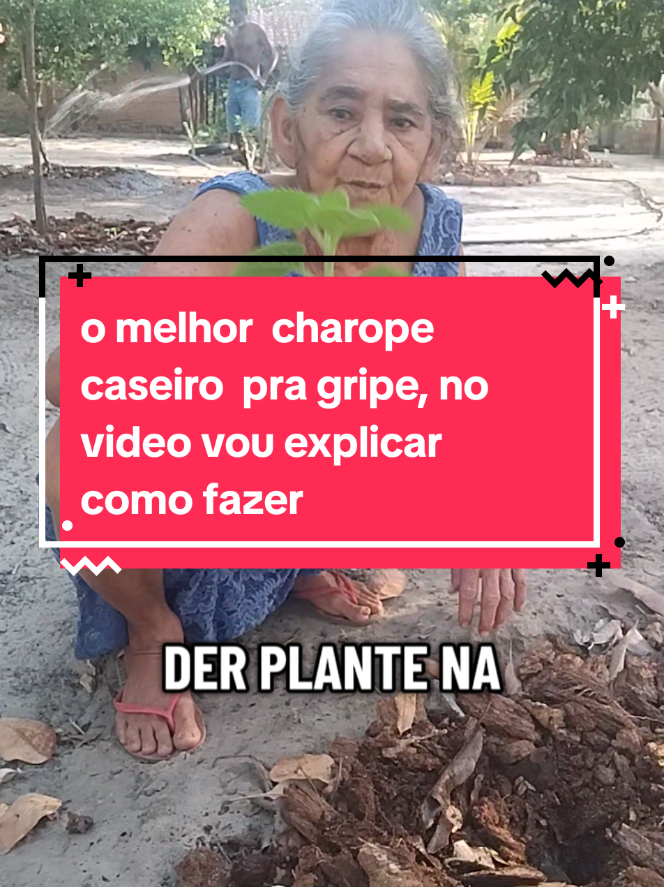 remédio caseiro para gripe #sabedoria #gripe #doença 