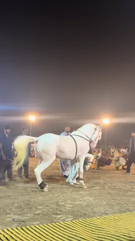 MashaALLAH♥️ #malikferoz #foryou 