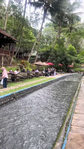 Bagus tempat nya and makannya enak #salatigatiktok #salatigahits #kalibatursalatiga #restokalibatursalatiga #fyppppppppppppppppppppppp 