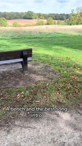 Seems to be a daily thing now #autumnmornings #sitwithyourfeelings #killswitchengage #mycurse #parkbenchlife 
