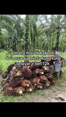 #sawitriau #katakata #fyp 