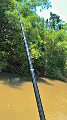 sensasi yang tidak bisa di beli #fyp #fypage #mancingliar #tawessiripmerah #foryoupage 