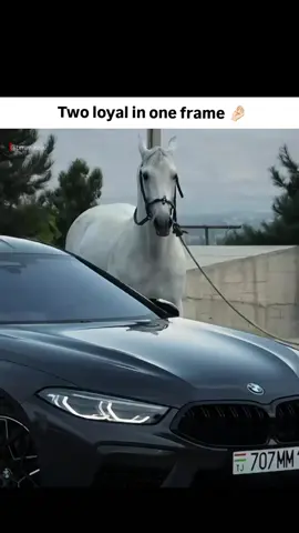 BMW❤️‍🩹 . . . . . . . . . . . . . #viral #fyp 