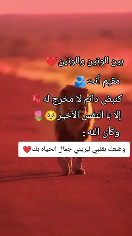 #هشتاكاتي_الترند_المشهوره #أبن #حلب #،🤩😘🥰🤗♥️ 
