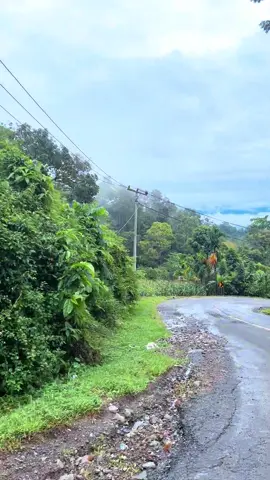 tanjakan sedayu after rain🍃 #kelilinglampung #jalananlampung #tanjakansedayu 