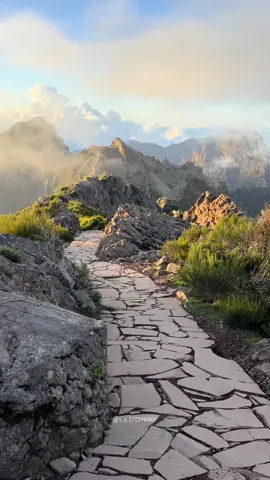 Aren’t the Portuguese islands absolutely stunning? 🌿🇵🇹 This video brings together some of my favorite moments from both the Azores and Madeira — two worlds of pure adventure and raw beauty. From the lush volcanic valleys of SÃO MIGUEL to the wild cliffs of FLORES, the Azores feel almost otherworldly. MADEIRA, on the other hand, steals your heart with its dramatic peaks, endless ocean views, and deep island soul. 🌋🌊 💡After exploring these islands countless times, I created DETAILED INTERACTIVE GUIDES for each one — designed especially for independent travelers 🗺️ 🔎 Whether you prefer to plan everything yourself or follow a ready-made itinerary, these guides make your trip effortless. 🧭 The best part? They work offline, include built-in navigation, and are packed with the best hikes, viewpoints, and hidden gems I’ve discovered over the years. 👉🏼 Link in bio Or just message me: Madeira Map, Flores Map, or Sao Miguel Map — and I’ll send it straight to you! #AzoresAdventure #DiscoverMadeira #ExploreMadeira #VisitAzores #MadeiraIsland           