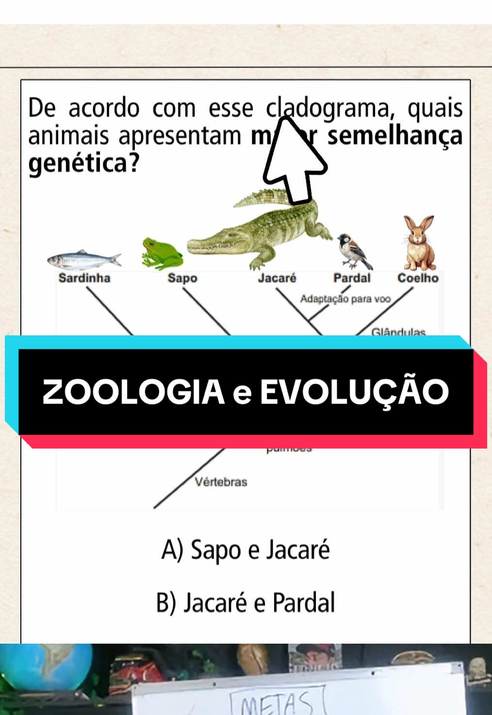 ZOOLOGIA e EVOLUÇÃO no ENEM 2025! 👨🏻‍🏫 ⚡ Essa é a típica questão do ENEM que adora cobrar EVOLUÇÃO e RELAÇÕES FILOGENÉTICAS! 👨🏻‍🏫 Hoje, o Prof. Mateus vai te ensinar a resolver uma questão do ENEM sobre CLADOGRAMA e SEMELHANÇA GENÉTICA entre VERTEBRADOS. 🔬 O cladograma é uma representação gráfica que mostra o GRAU DE PARENTESCO evolutivo entre os seres vivos. Ele é construído a partir de CARACTERÍSTICAS DERIVADAS, como presença de PULMÕES, OVO AMNIÓTICO ou GLÂNDULAS MAMÁRIAS. Isso ajuda a entender como grupos de ANIMAIS VERTEBRADOS estão relacionados. 📲 Compartilha esse vídeo com quem também está estudando para o VESTIBULAR! ⚛️ Esse vídeo é um oferecimento INTELECTTUS: Use o cupom ProfMateus para 15 dias grátis + desconto #zoologia #biologiaenem #enem2025 #vestibular  #creatorsearchinsights 