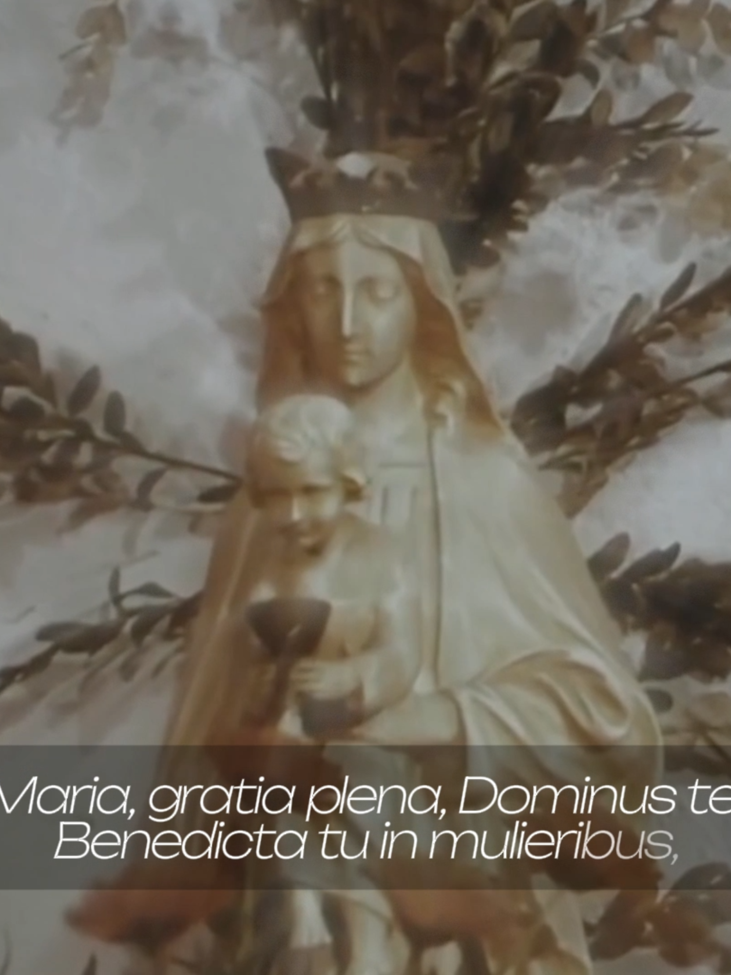 Ave Maria #christianity #catholicism #edit #jesuschristislord #maria #avemaria